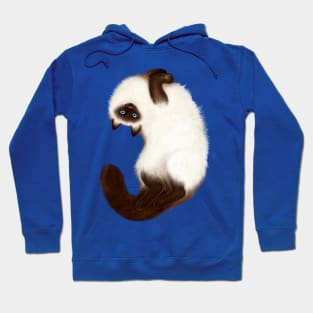 Himalayan Cat (Blue Background) Hoodie